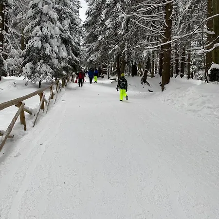 Gorska Osada 5 * Szklarska Poręba