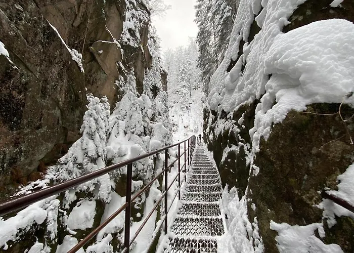 Apartment Gorska Osada 5 *